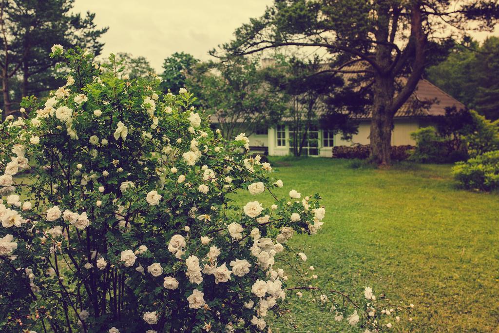 Adami Country Guesthouse Vainupea ภายนอก รูปภาพ