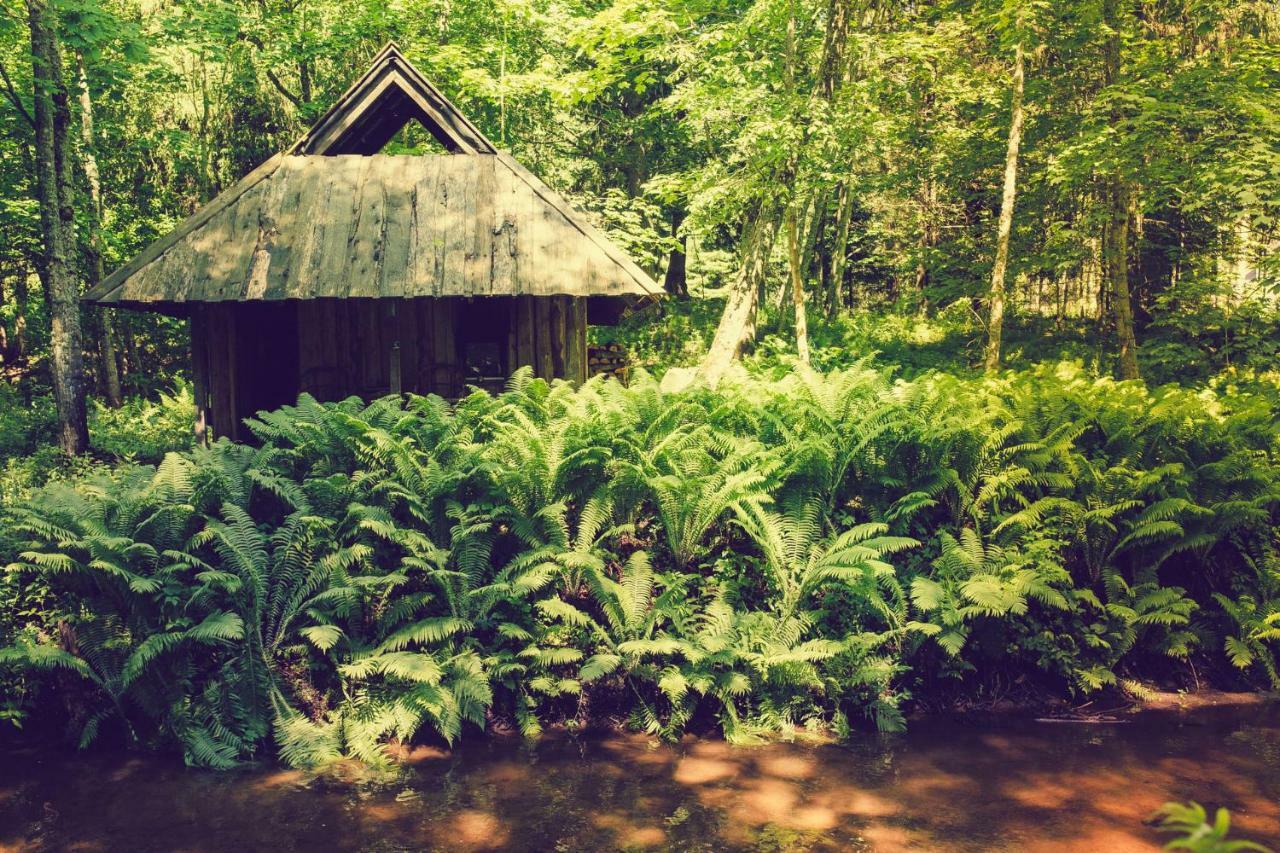 Adami Country Guesthouse Vainupea ภายนอก รูปภาพ