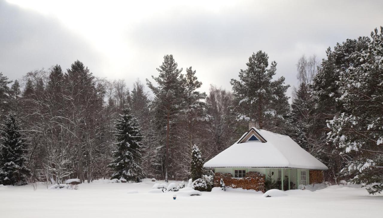 Adami Country Guesthouse Vainupea ภายนอก รูปภาพ